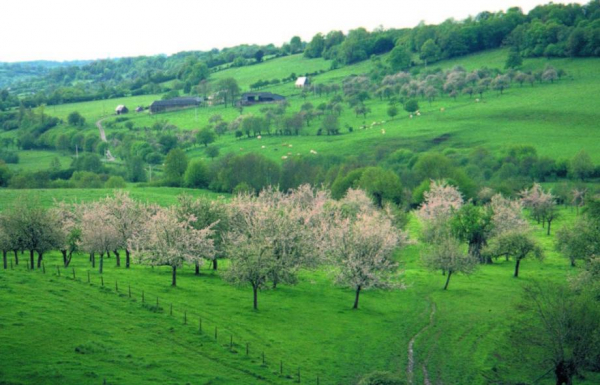 Habitat de reproduction de la Pie-grièche à tête rousse dans le Nord-Est de la France (source : solagro.org)